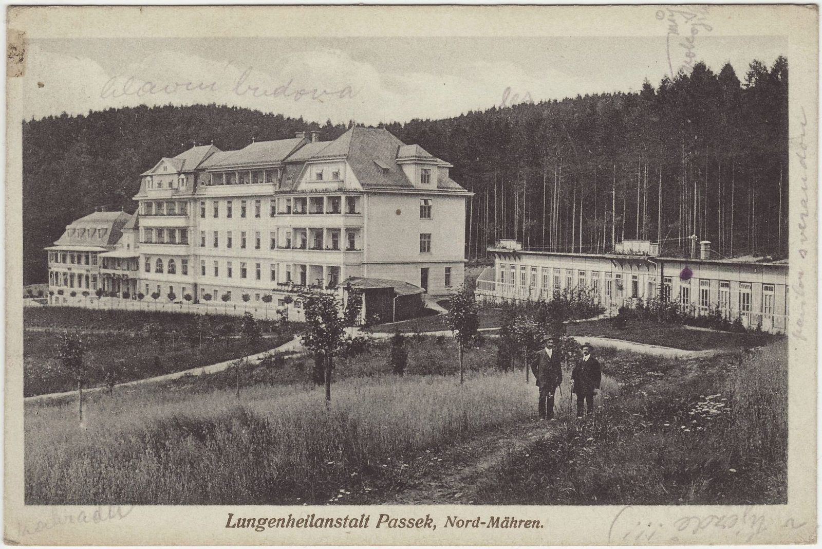 Plicní sanatorium v Pasece, 1919 - dobová pohlednice ilustrující, jak vypadalo kostelecké sanatorium v éře svého vzniku